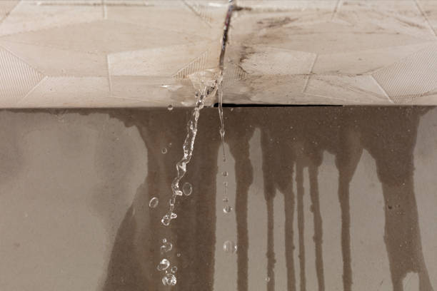 Professional Burst Pipe Cleanup technician working in Bentley, MI